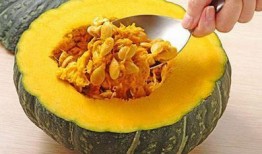 北京朝阳吃瓜 吃瓜裙分享免费,吃瓜裙分享，免费体验时尚潮流盛宴